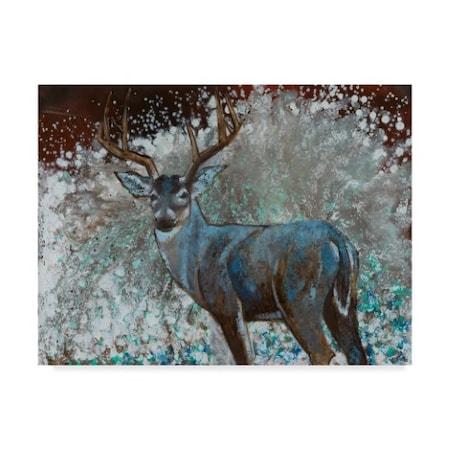 Cecile Broz 'Deer I' Canvas Art,18x24